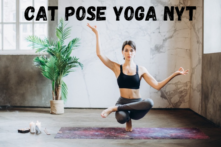 Cat Pose Yoga NYT: A Comprehensive Guide