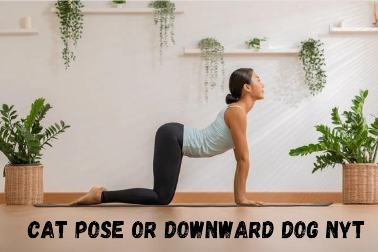 Cat Pose or Downward Dog NYT: A Comprehensive Guide