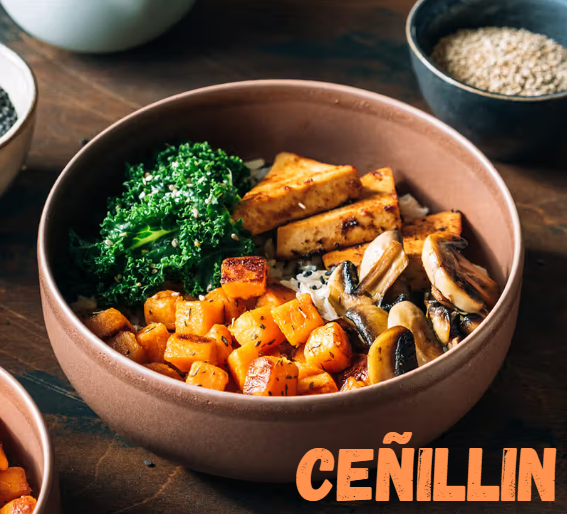 Ceñillin: An In-Depth Exploration of Its Origin, Significance, and Cultural Impact