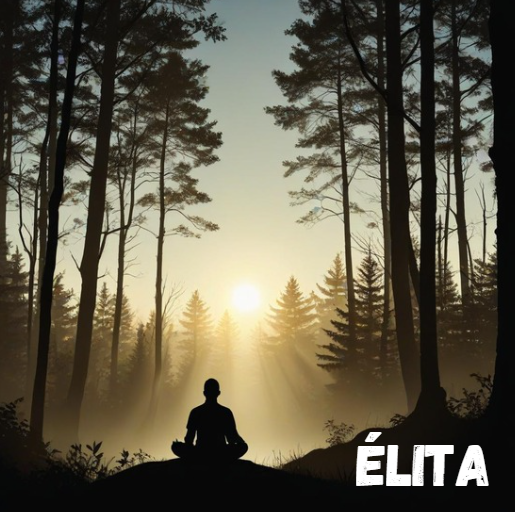 Élita: A Comprehensive Guide to Cultural Heritage and Human Experiences