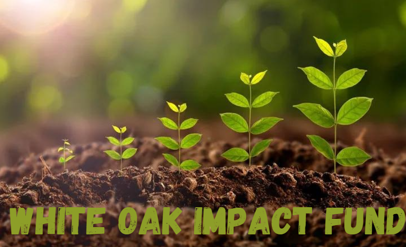 White Oak Impact Fund: A Comprehensive Analysis