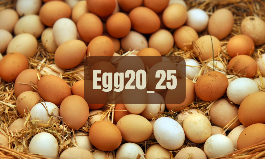 Egg20_25: Revolutionizing Egg Production through Biotechnology