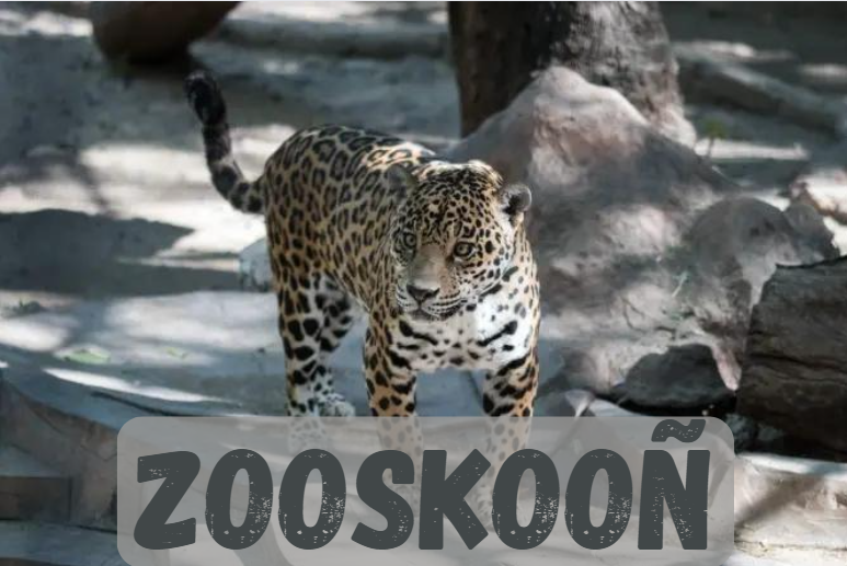 Zooskooñ